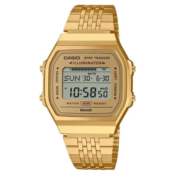 Casio ABL-100WEG-9ADF Unisex Kol Saati