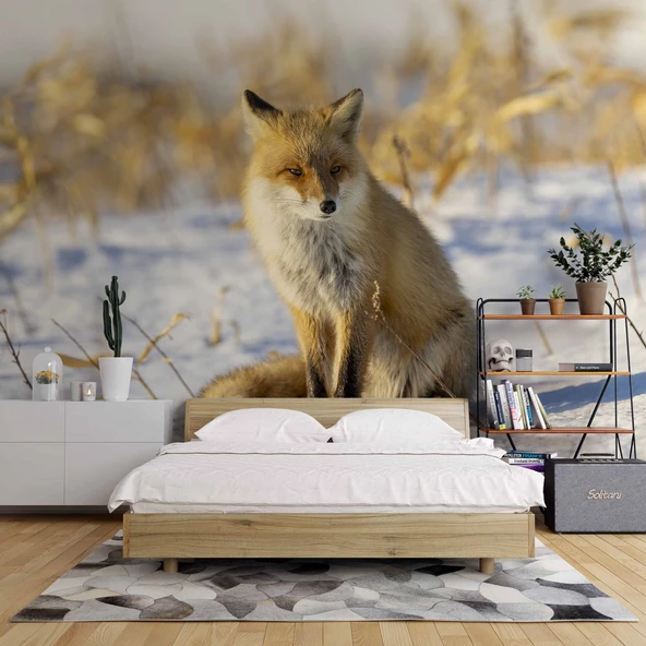 Kar Üzerinde Tilki Manzaralı Duvar Kağıdı - Resim 2