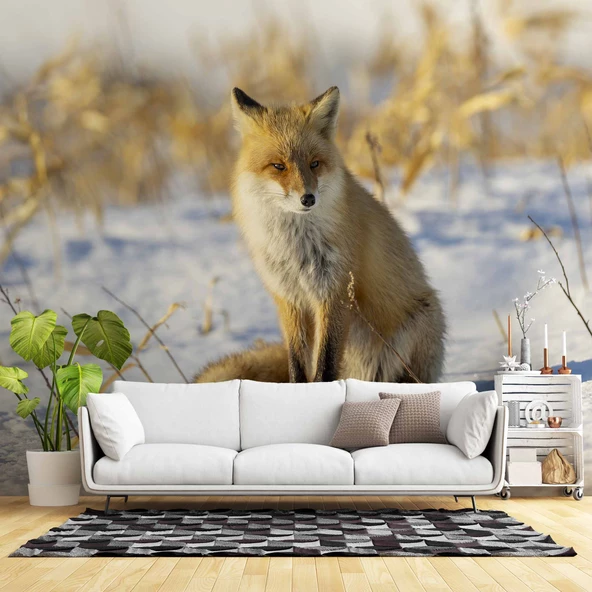Kar Üzerinde Tilki Manzaralı Duvar Kağıdı ürün görseli