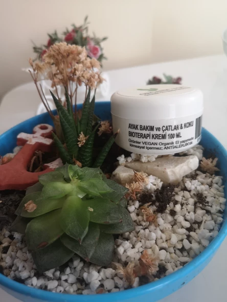 ORGANICYOU AYAK BAKIM ve ÇATLAK & KOKU BIOTERAPİ KREMİ 100 ML - 2