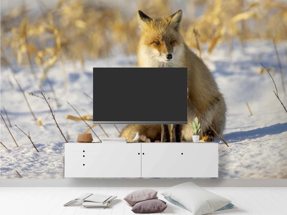 Kar Üzerinde Tilki Manzaralı Duvar Kağıdı - Resim 3