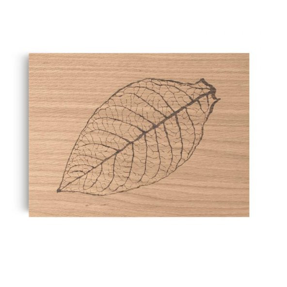 ZİNO DAVİDOFF Z60 LEAF NATURAL OAK HUMİDOR 112388 - 2