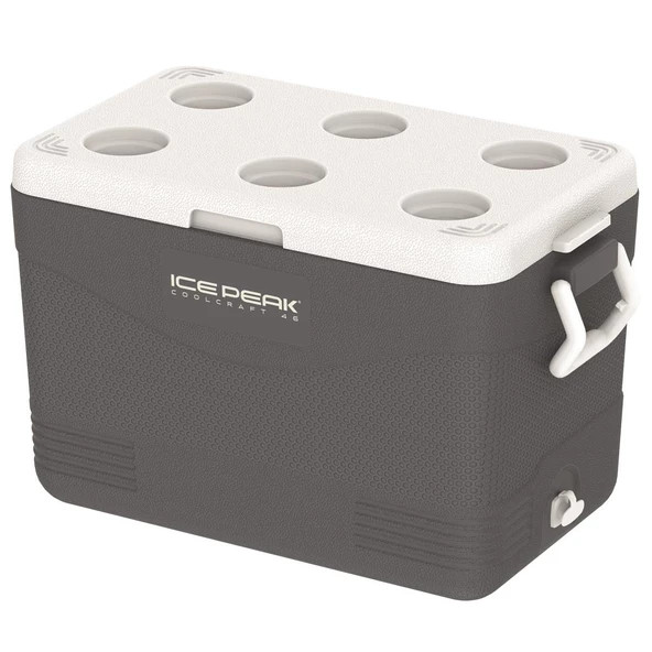 IcePeak CoolCraft 46 Buzluk 41.6 Litre-FÜME - 2