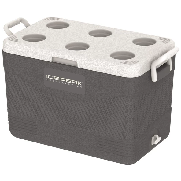 IcePeak CoolCraft 46 Buzluk 41.6 Litre-FÜME - 4
