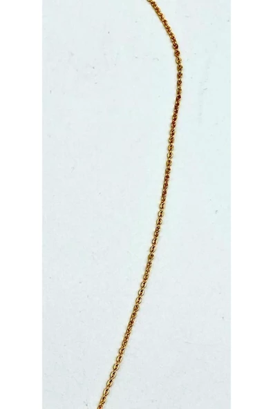Gökçeada PASLANMAZ ÇELİK KOLYE ZİNCİR 316L - 5