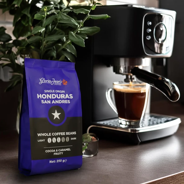 GLORİA JEAN'S HONDURAS SAN ANDRES 250 GR - 3