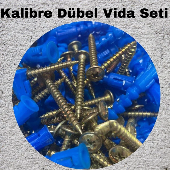 Kalibreli Dübel ve Vida Seti 100 Adet – Pul Başlı, 8mm Dübel
