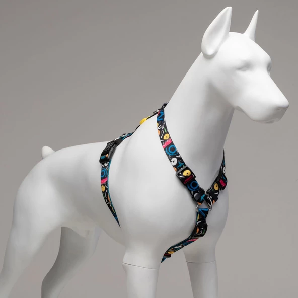 Lindo Dogs Enjoy H Tipi Köpek Göğüs Tasması Renkli Beden Medium - 4