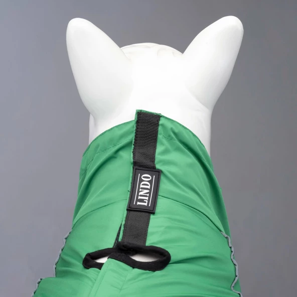 Lindo Dogs Quattro Nebula Köpek Yağmurluğu Yeşil Beden 2 - 4