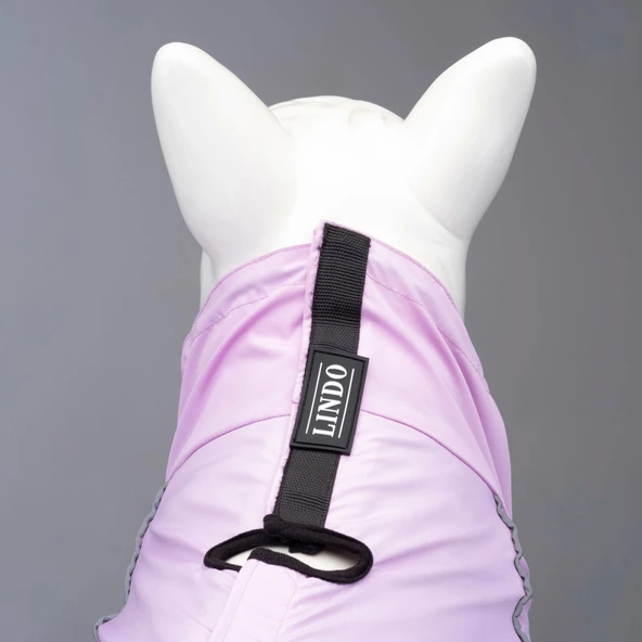 Lindo Dogs Quattro Laika Köpek Yağmurluğu Lila Beden 2 - 4