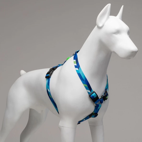 Lindo Dogs Blue Dream H Tipi Köpek Göğüs Tasması Mavi/Yeşil Beden Small - 3
