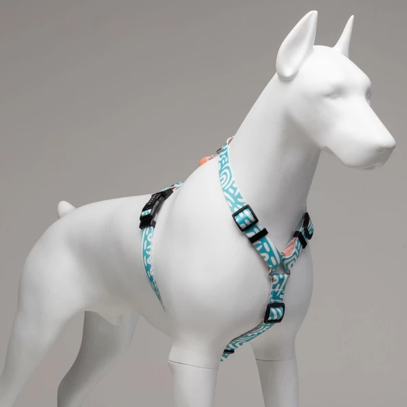 Lindo Dogs Touch H Tipi Köpek Göğüs Tasması Beden Beyaz/Mavi Medium - 4