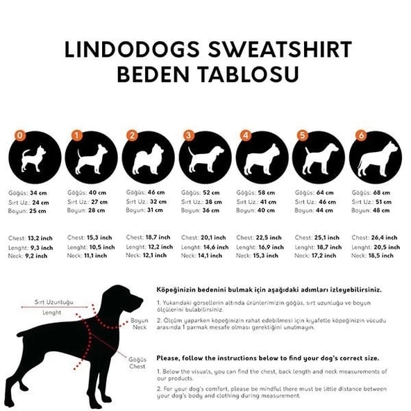 Lindo Jurassic Dog Köpek Sweatshirt Beden 4 - 4