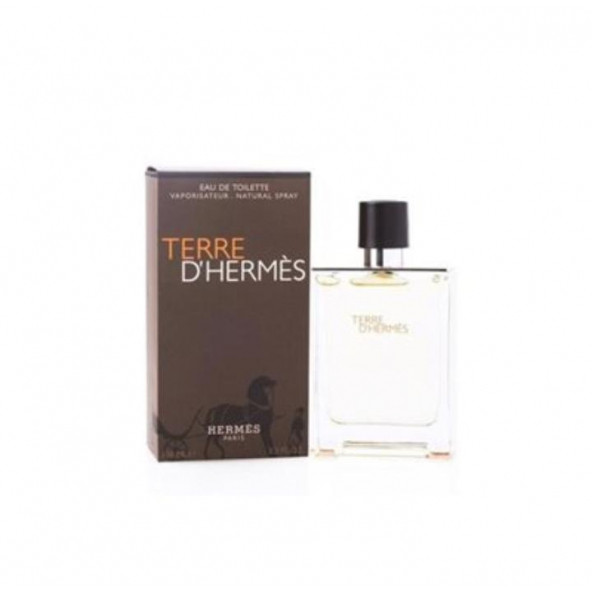 Hermes Terre D'Hermes Edt 100 Ml Erkek Parfüm