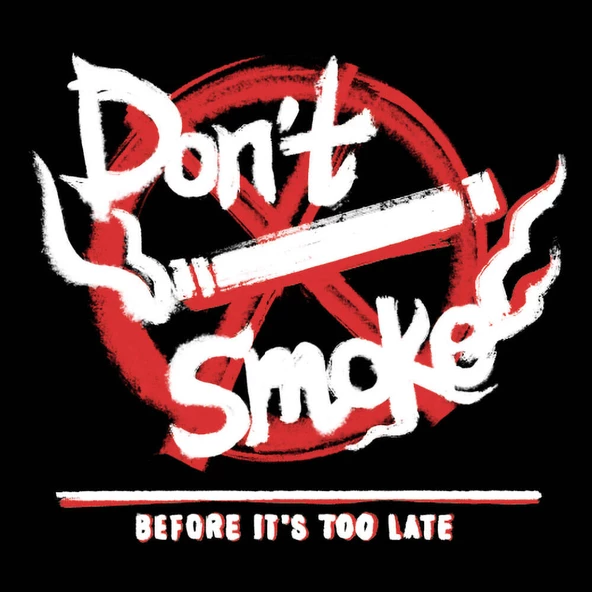 Youngkit Apple iPhone 14 Pro Kılıf Magsafe Şarj Özellikli Shu Tasarımlı Youngkit City Serisi Kapak - Resim 8