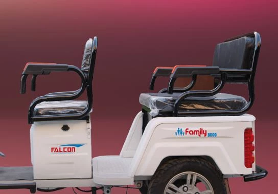 FALCON FAMİLY 8000 -3 TEKERLİ ELEKTRİKLİ TRİCYCLE - 4