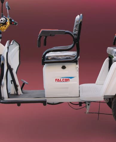 FALCON FAMİLY 8000 -3 TEKERLİ ELEKTRİKLİ TRİCYCLE - 3