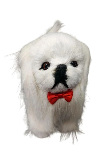 Sese Duyarlı Şımaran - Hareket Eden, Yürüyen Müzikli Sevimli Malta Bichon Peluş Köpek - 3