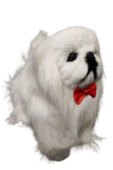 Sese Duyarlı Şımaran - Hareket Eden, Yürüyen Müzikli Sevimli Malta Bichon Peluş Köpek - 2