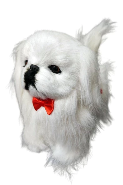 Sese Duyarlı Şımaran - Hareket Eden, Yürüyen Müzikli Sevimli Malta Bichon Peluş Köpek