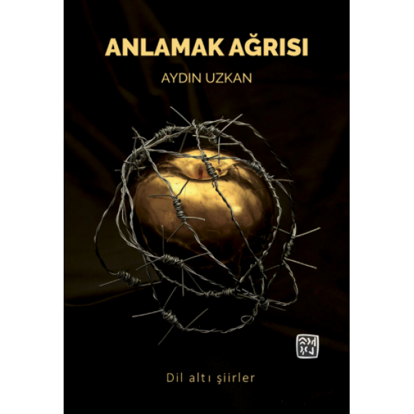 Anlamak Ağrısı - Aydın Uzkan