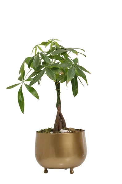 Lagertha Küçük Saksı Eskitme 1027-1