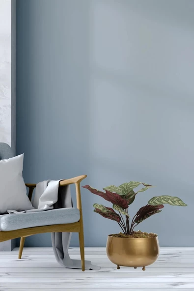 Lagertha Büyük Saksı Eskitme 1027-2