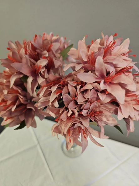 YASİMA 5 DALLI GÜL KURUSU ÇAN ÇİÇEĞİ 34 CM EL BUKETI VAZO ARANJMAN DEKOR ÇİÇEĞİ - Resim 2