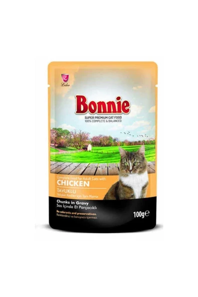 Tavuklu Pouch Gravy Yetişkin Kedi Konserve Maması 100 gr - Petshopundan