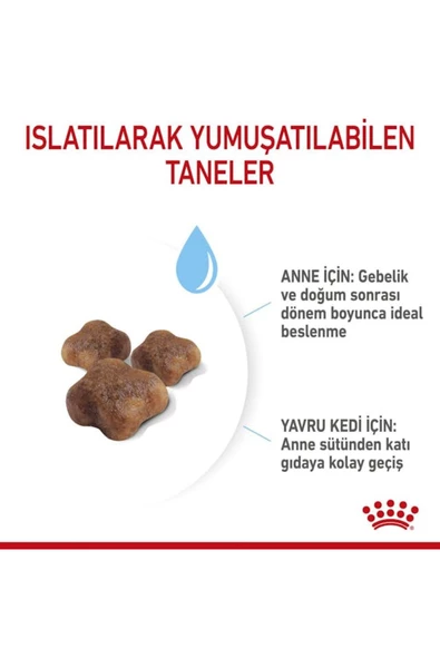 Babycat 34 Yavru Kuru Kedi Maması 2 Kg - 8