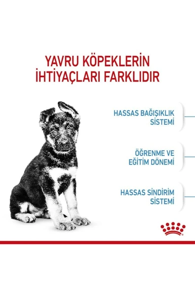 Maxi Puppy Büyük Irk Yavru Köpek Maması 15 Kg - Resim 4
