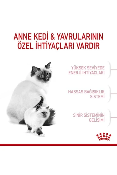 Mother&babycat Gebe/laktasyondaki Anne Ve Yavru Kedi Için Kuru Kedi Maması 2kg - 6