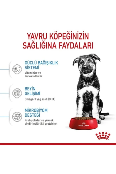 Maxi Puppy Büyük Irk Yavru Köpek Maması 15 Kg - Resim 6