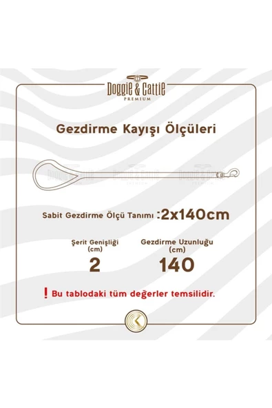 Dokuma Köpek Gezdirme Kayışı M 2.5x120cm Turuncu - 4