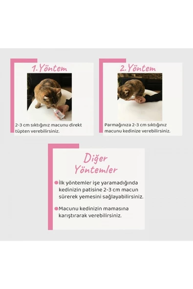 Biotin Plus Paste Kediler Için Tüy Sağlığı Tüy Dökümü Engeleyici Vitamin 100 gr Properfeck - 2