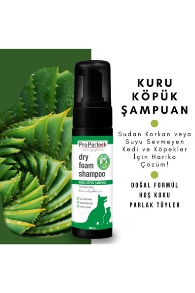 Kedi Köpek Kuru Köpük Şampuan 200 Ml Aloe Vera Özlü