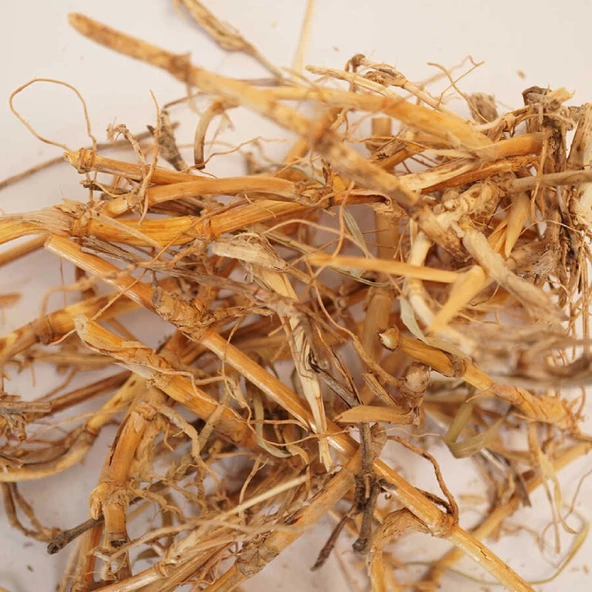 Ayrık Kökü Ayrık Otu (Agropyron Repens) 250 gr, Derya Eren - 3