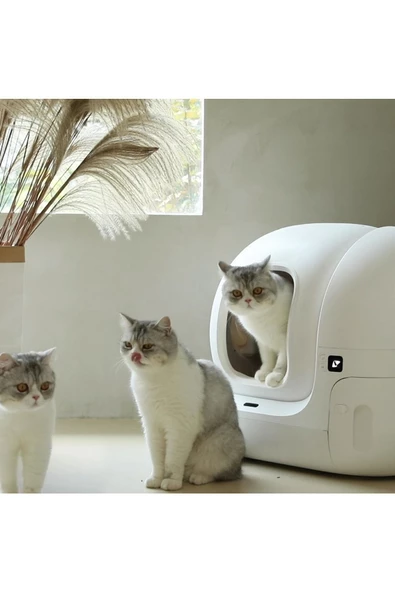 Petkit Pura Max Akıllı Kedi Tuvaleti Beyaz - 2