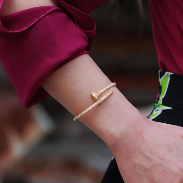 Crtr Çivi Model Zirkon Taşlı Gold Kaplama Gümüş Bileklik ürün görseli 1