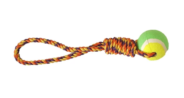 Tenis Toplu Diş İpi Köpek Oyuncağı 30 Cm - Resim 3