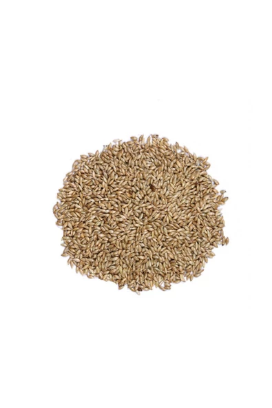 Ayvalık Baharat Sade Kanarya Yemi 500 gr