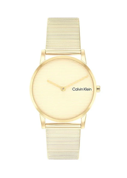 Calvin Klein CK25100035 Kadın Kol Saati