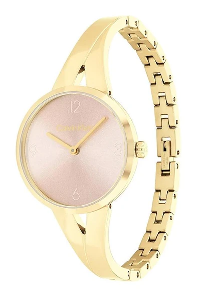 Calvin Klein CK25100027 Kadın Kol Saati ürün görseli 1