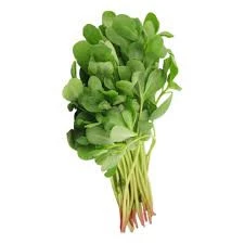 100 Adet Tohum Nadir Semizotu Tohumu Taze Hasat Organik Tohum Hediye Tohumludur - Resim 2