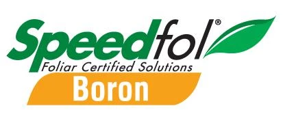 DRT Speedfol Boron Bor İçerikli Gübre 1 litre - 2