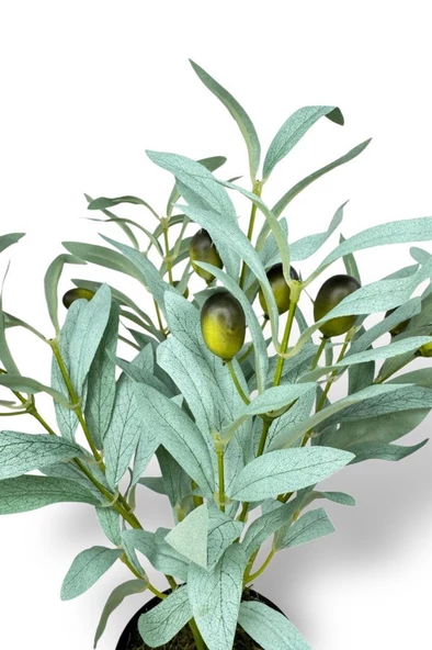 Nettenevime Yapay Zeytin Ağacı Saksıda 40cm 5 Dallı 10 Meyveli Pastel Yapay Çiçek Artificial Olive - Resim 6