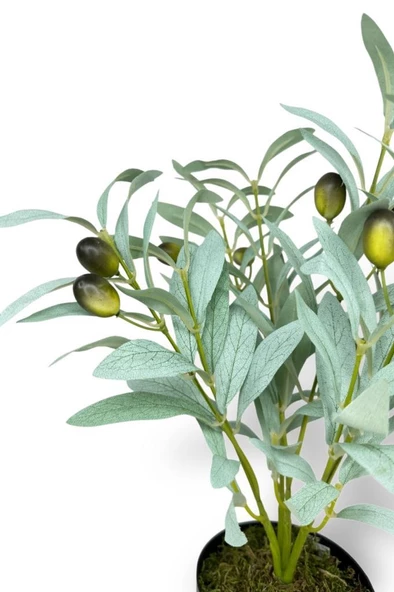 Nettenevime Yapay Zeytin Ağacı Saksıda 40cm 5 Dallı 10 Meyveli Pastel Yapay Çiçek Artificial Olive - Resim 5