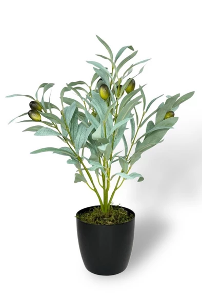 Nettenevime Yapay Zeytin Ağacı Saksıda 40cm 5 Dallı 10 Meyveli Pastel Yapay Çiçek Artificial Olive - Resim 2