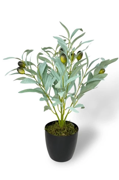 Nettenevime Yapay Zeytin Ağacı Saksıda 40cm 5 Dallı 10 Meyveli Pastel Yapay Çiçek Artificial Olive ürün görseli 1