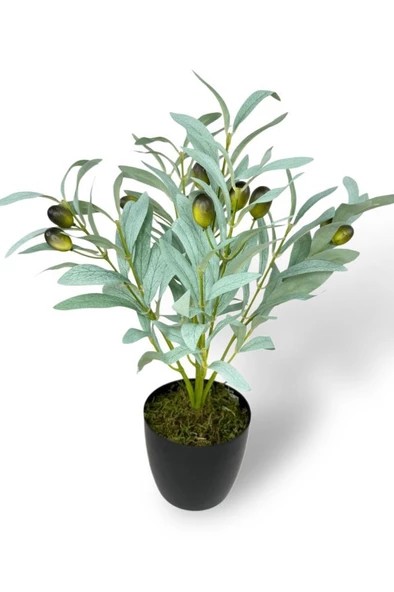 Nettenevime Yapay Zeytin Ağacı Saksıda 40cm 5 Dallı 10 Meyveli Pastel Yapay Çiçek Artificial Olive - Resim 7